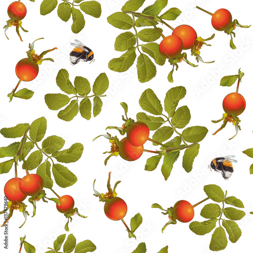 Rose hip seamless pattern