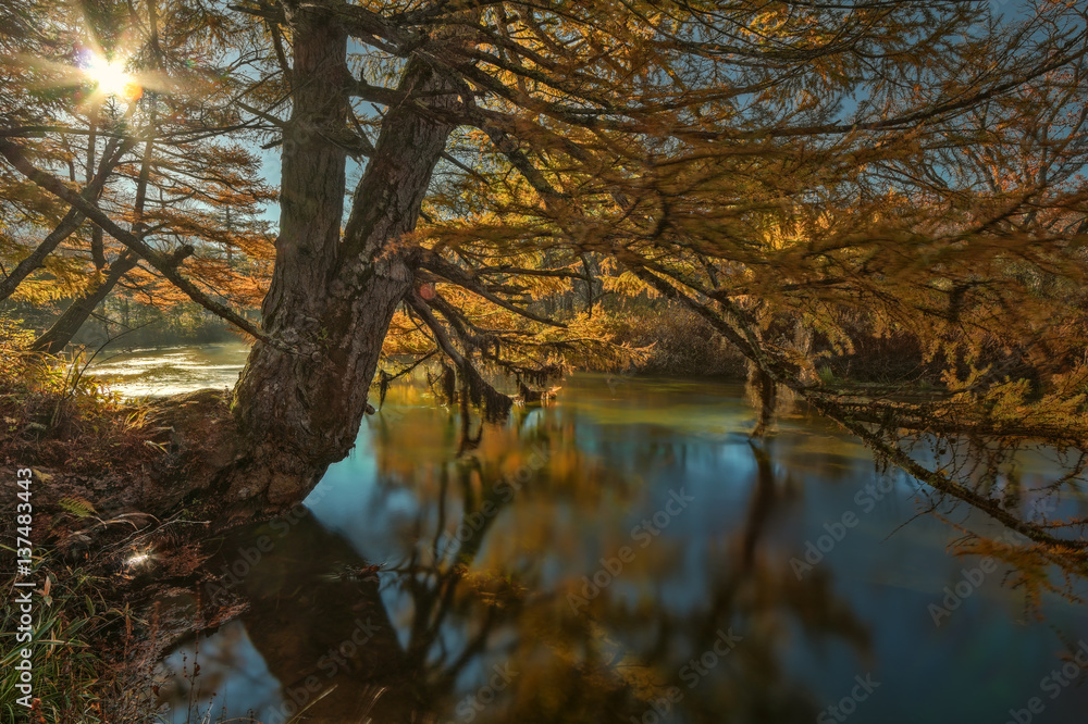 Yukawa River / Oku-Nikkō / Japan Yukawa River / Oku-Nikkō / Japan
