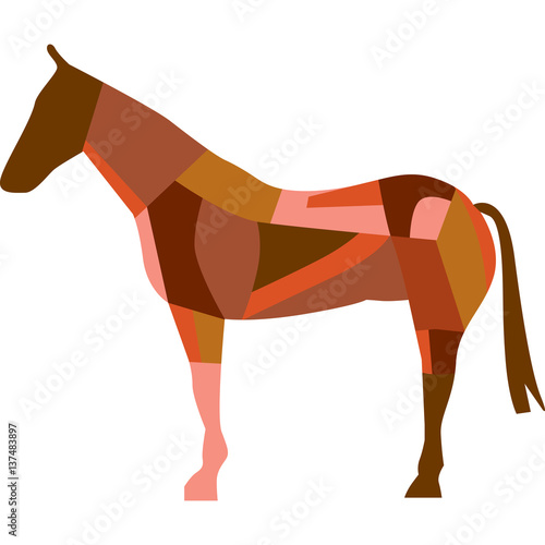 cavallo