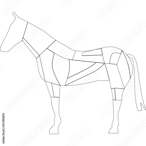 cavallo