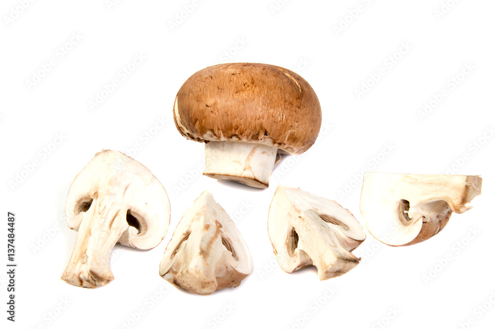 Fototapeta premium Set Champignon mushroom isolated on white background.
