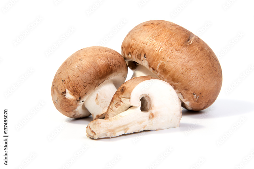Fototapeta premium Set Champignon mushroom isolated on white background.