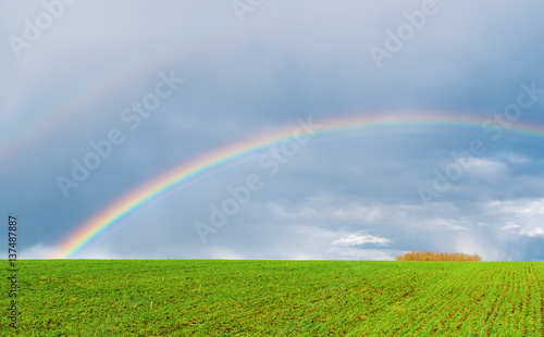 real rainbow in dark sky over green field © Mykola Mazuryk