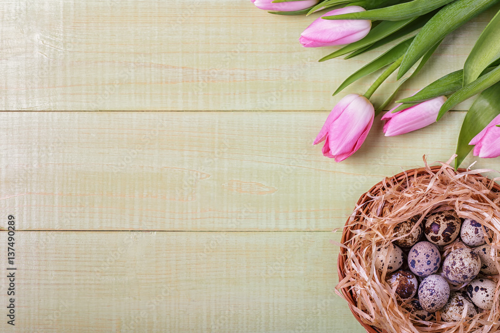 Easter background pink tulips on wooden table, quail eggs, nest.
