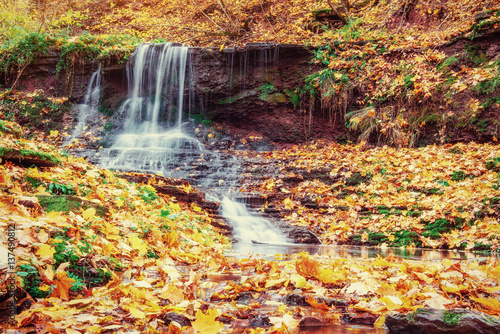 Fototapeta Naklejka Na Ścianę i Meble -  Waterfall in autumn sunlight. Beauty world. Carpathians. Ukraine. Europe