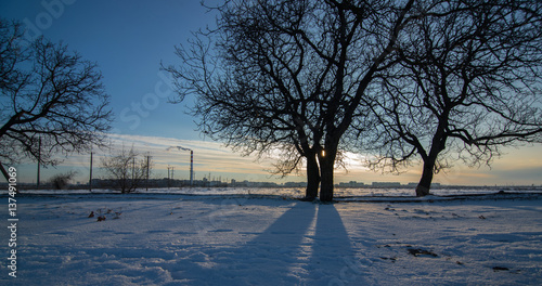 Field on the outskirts of the city in winter