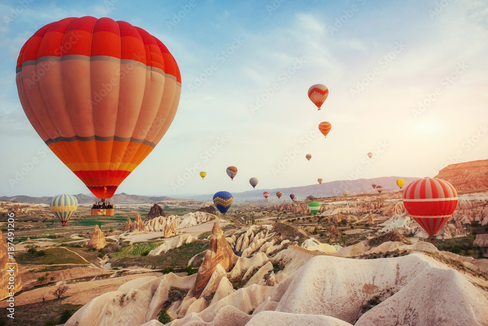 Obraz premium Colorful hot air balloons flying over Red valley at Cappadocia,