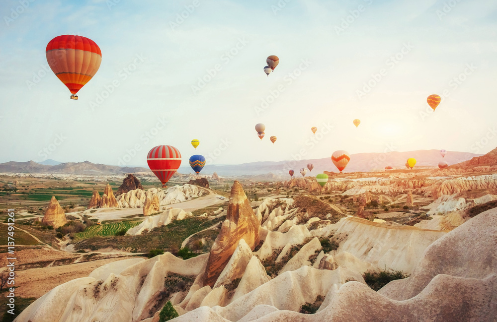 Obraz premium Colorful hot air balloons flying over Red valley at Cappadocia,