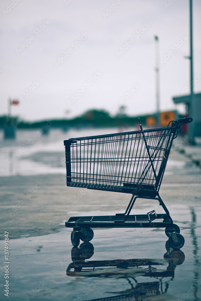 A shopping cart trolley carriage or buggy is a cart supplied by a shop,  especially supermarkets in a vertical image vintage style. Photos | Adobe  Stock