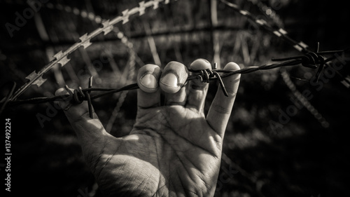 Man hand on the barbed wire fence without freedom, liberty and fraternity in vintage style picture.