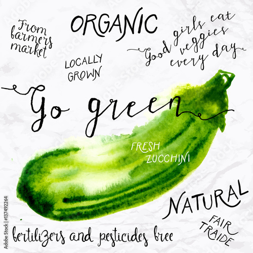 Watercolor zucchini