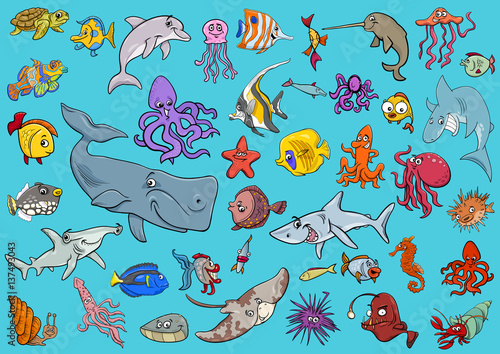 sea life animals cartoon set