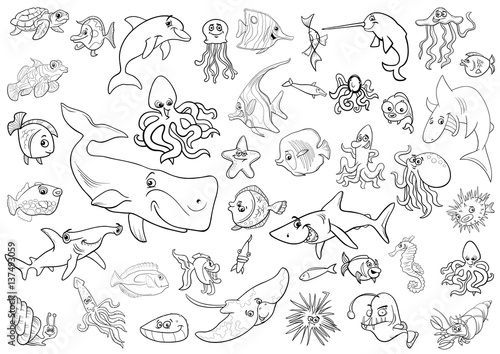 sea life animals coloring page
