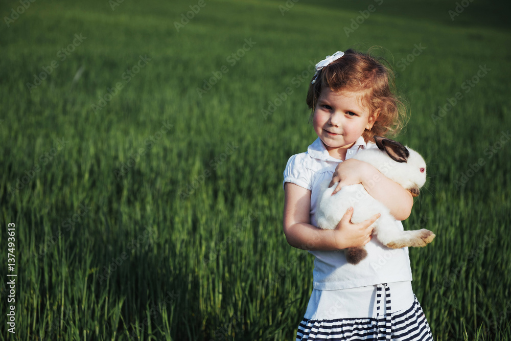 baby rabbit in a field of green wheat baby rabbit in a field of green wheat
