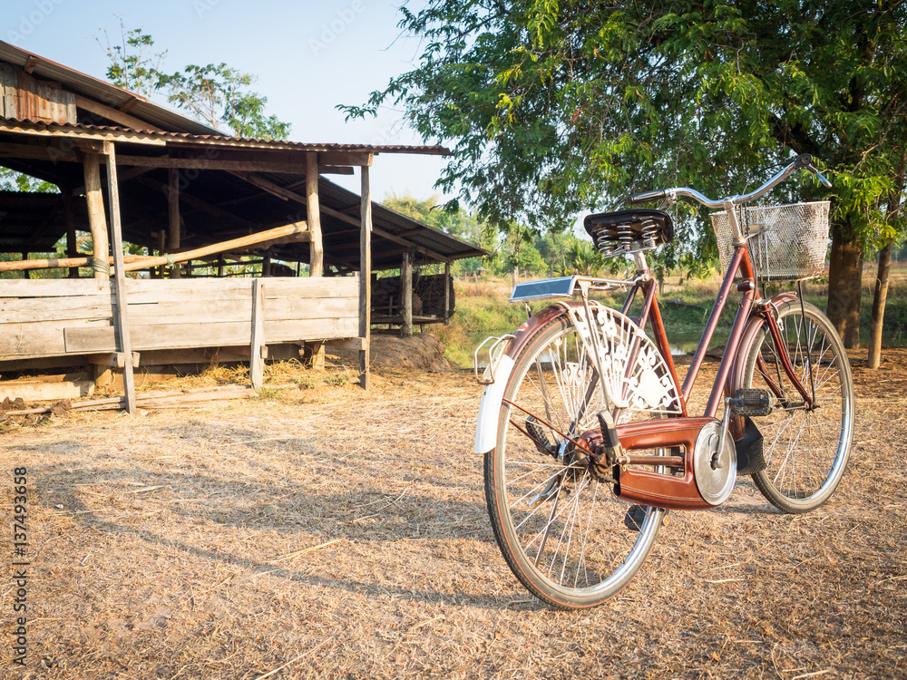 Vintage bicycle in the farm