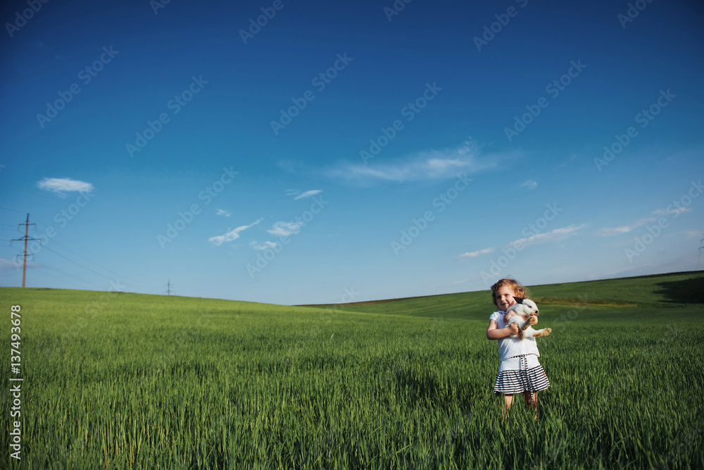 baby rabbit in a field of green wheat baby rabbit in a field of green wheat
