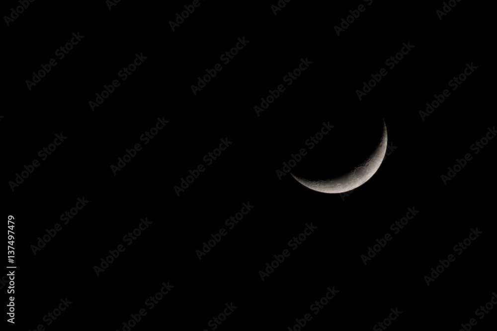 Moon Moon