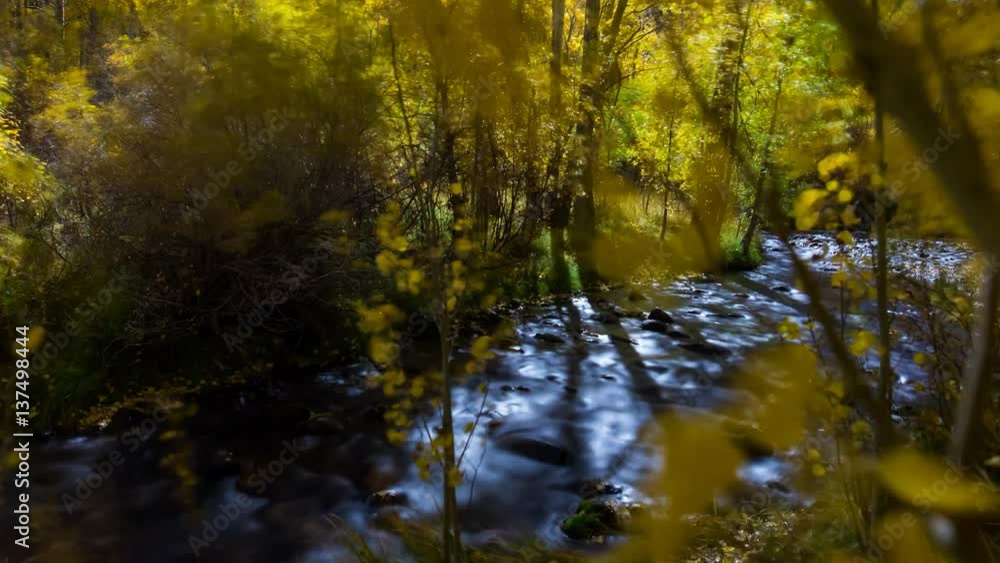 MoCo Astro Timelapse of Fall Foliage by River in Eastern Sierra -Long Crop MoCo Astro Timelapse of Fall Foliage by River in Eastern Sierra -Long Crop
