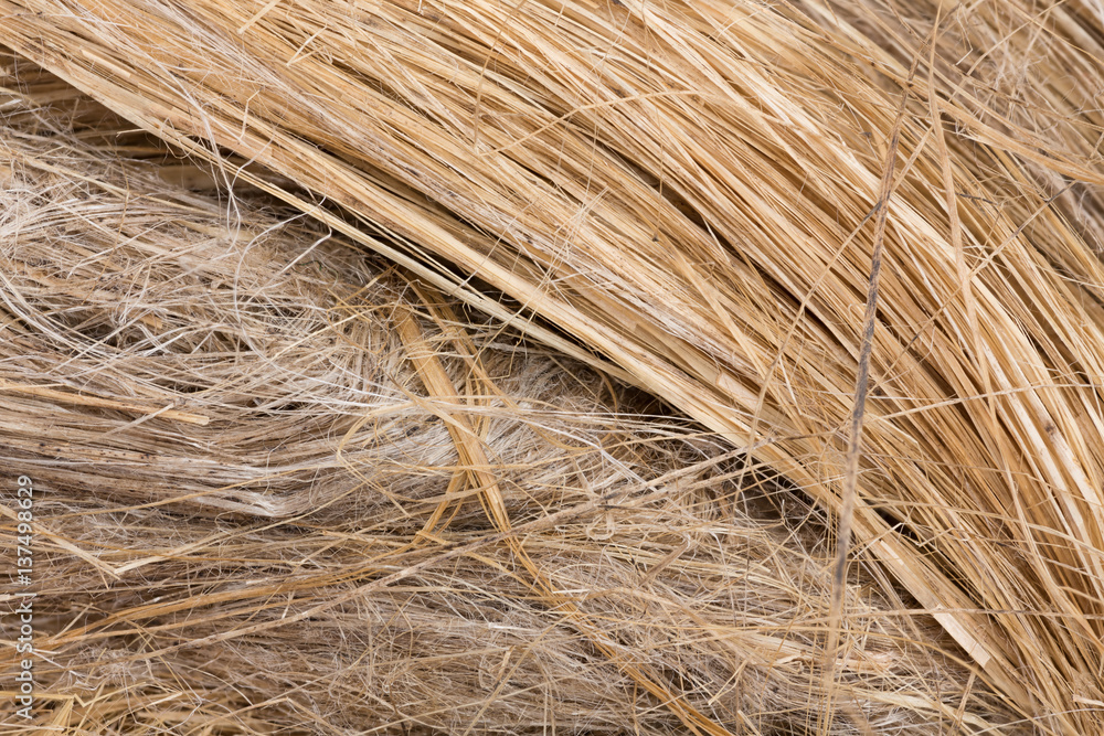 raw flax fiber - obrazy, fototapety, plakaty 