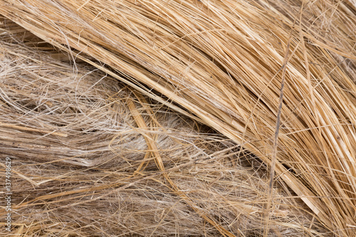 raw flax fiber photo