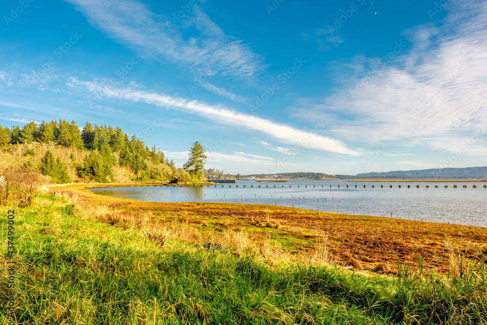 Fototapeta premium USA Pacific coast landscape, Cape Disappointment