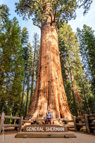 Tourist in Sequoia National Park photo