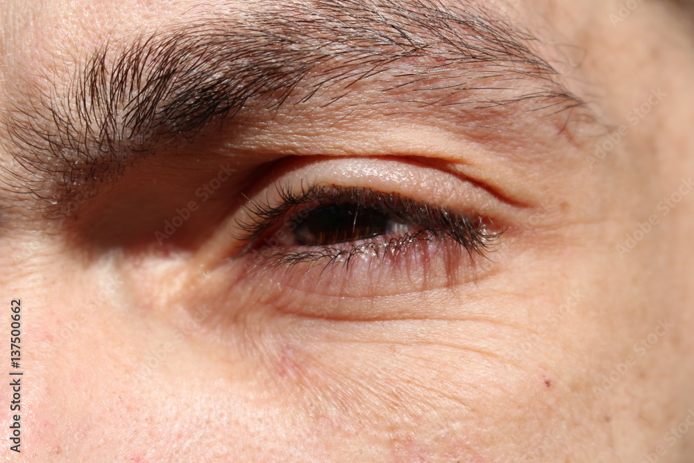 Fototapeta premium regard en amande yeux marrons