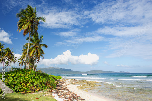 excellent tropical caribbean beach. Palms  sea  sky with white clouds