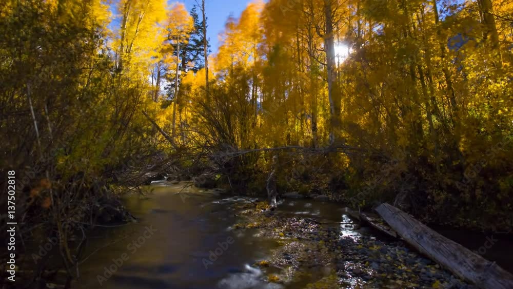 MoCo Astro Timelapse of Fall Foliage River at Moonset in Eastern Sierra -Zoom In MoCo Astro Timelapse of Fall Foliage River at Moonset in Eastern Sierra -Zoom In
