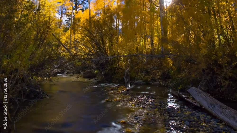 MoCo Astro Timelapse of Fall Foliage River at Moonset in Eastern Sierra Zoom Out MoCo Astro Timelapse of Fall Foliage River at Moonset in Eastern Sierra Zoom Out