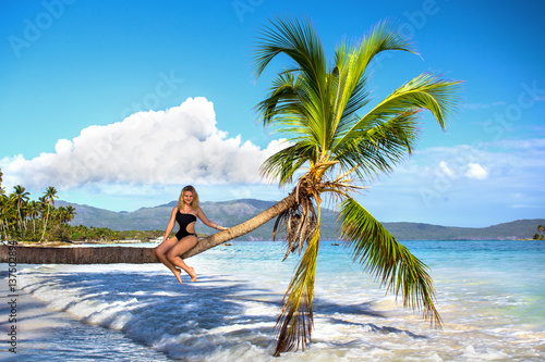 young sexy girl sitting on palm tree over blue sea