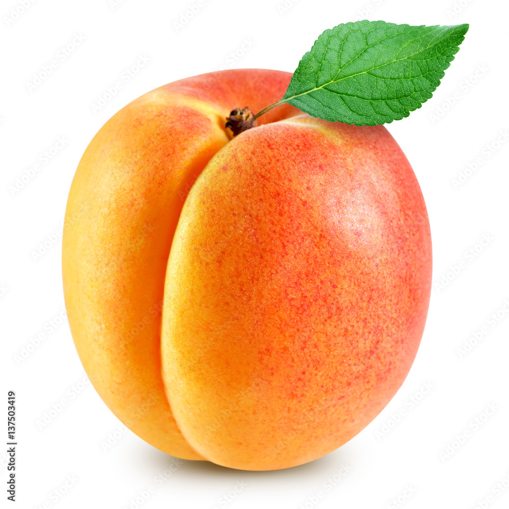 Fototapeta apricot fruits isolated