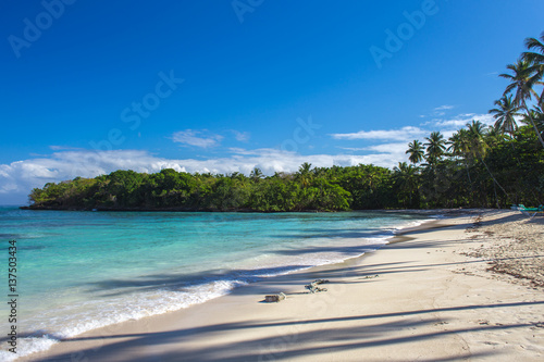 Fototapeta Naklejka Na Ścianę i Meble -  stunning tropical beach Playita, Domonican Republic. Blue ocean, white sand, palm trees