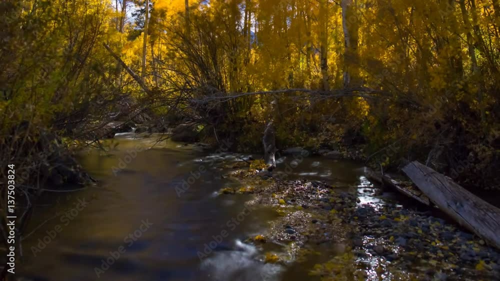 MoCo Astro Timelapse of Fall Foliage River at Moonset in Eastern Sierra -River- MoCo Astro Timelapse of Fall Foliage River at Moonset in Eastern Sierra -River-