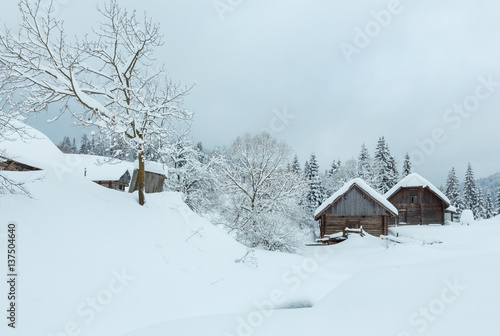 Winter Carpathian village.