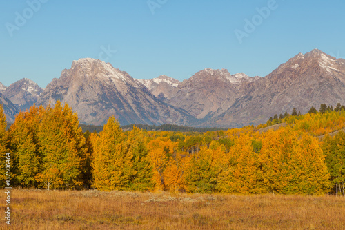 Autumn Landscape in Teton National Park