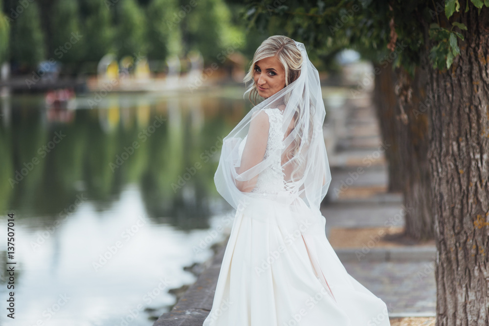 Portrait of a happy bride posing with veil Portrait of a happy bride posing with veil