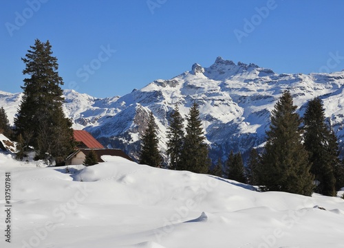 Fototapeta Naklejka Na Ścianę i Meble -  Winter landscape in Braunwald, Switzerland