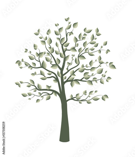Canvas Print Trees with leaves