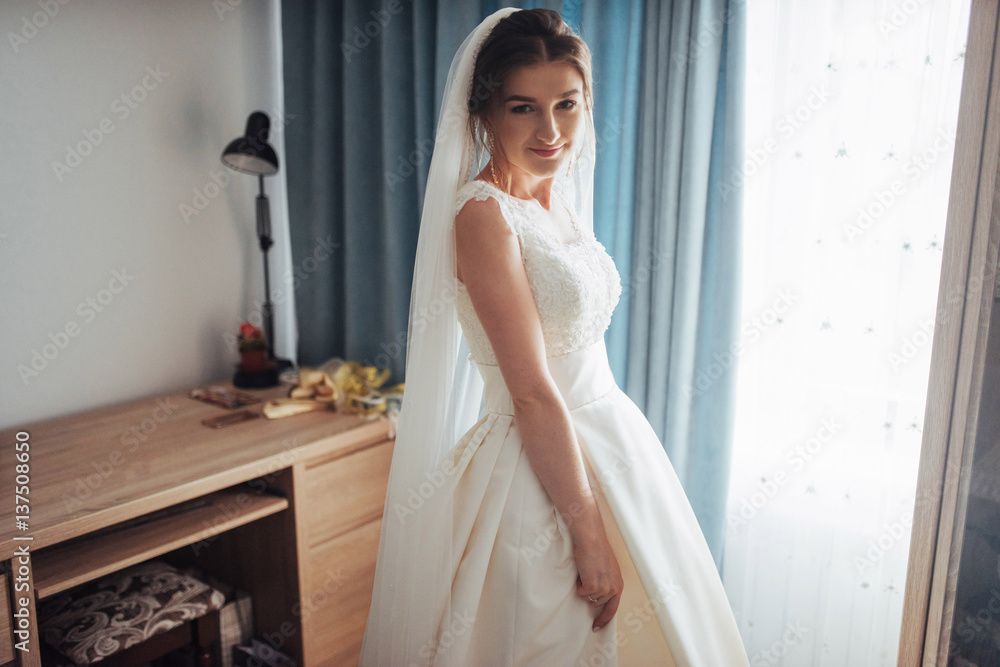 portrait of the happy bride in a dress portrait of the happy bride in a dress