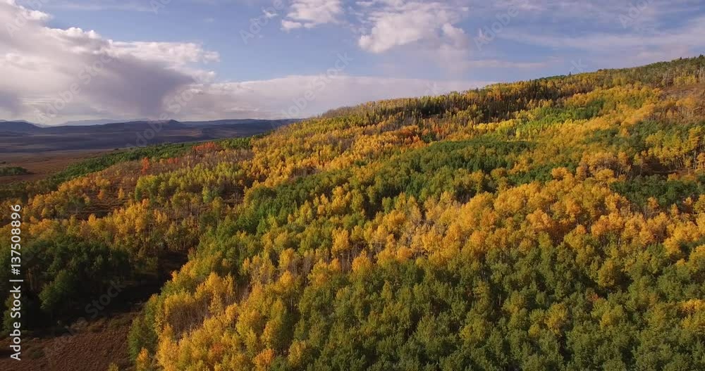Aspen tree pull back high, Aerial, 4K, 30s, 15of34, Aspen Trees, Foliage, Mountains, Beautiful Colors, Changing leaves, Colorado, Aerial, Stock Video Sale - Drone Discoveries llc. Aspen tree pull back high, Aerial, 4K, 30s, 15of34, Aspen Trees, Foliage, Mountains, Beautiful Colors, Changing leaves, Colorado, Aerial, Stock Video Sale - Drone Discoveries llc.