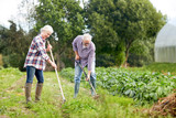 senior couple with shovels at garden or farm