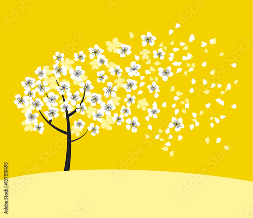 white sakura tree blossom on sunny yellow background. elegant naive spring floral design element for invitation, card, poster, greetings, wedding.