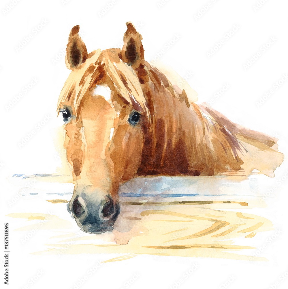 Fototapeta Koń akwarela w stabilnej ręcznie malowane ilustracja