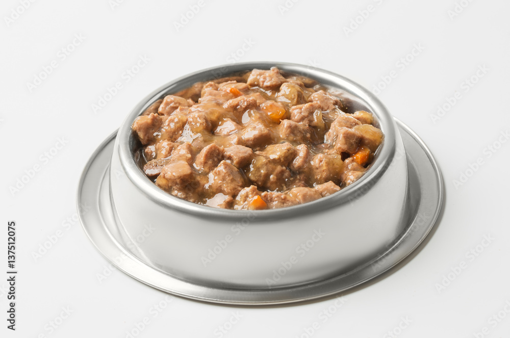 wet food for dogs and cats in silver bowl wet food for dogs and cats in silver bowl