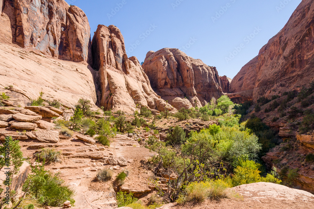 Negro Bill Canyon near Moab, UT, USA