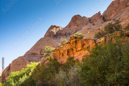 Negro Bill Canyon near Moab, UT, USA