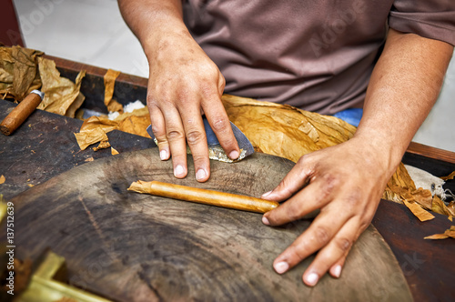 Closeup of hands making cigar from tobacco leaves. Traditional manufacture of cigars. Dominican Republic © alekosa