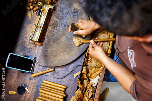 Photography Closeup of hands making cigar from tobacco leaves