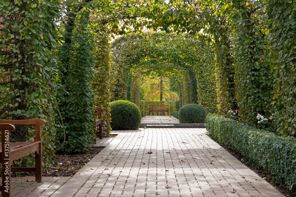 Fototapeta premium Parkanlage